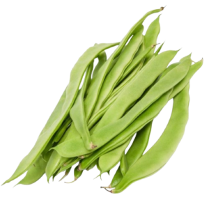 HARICOT VERT PLAT
