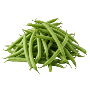 HARICOT VERT